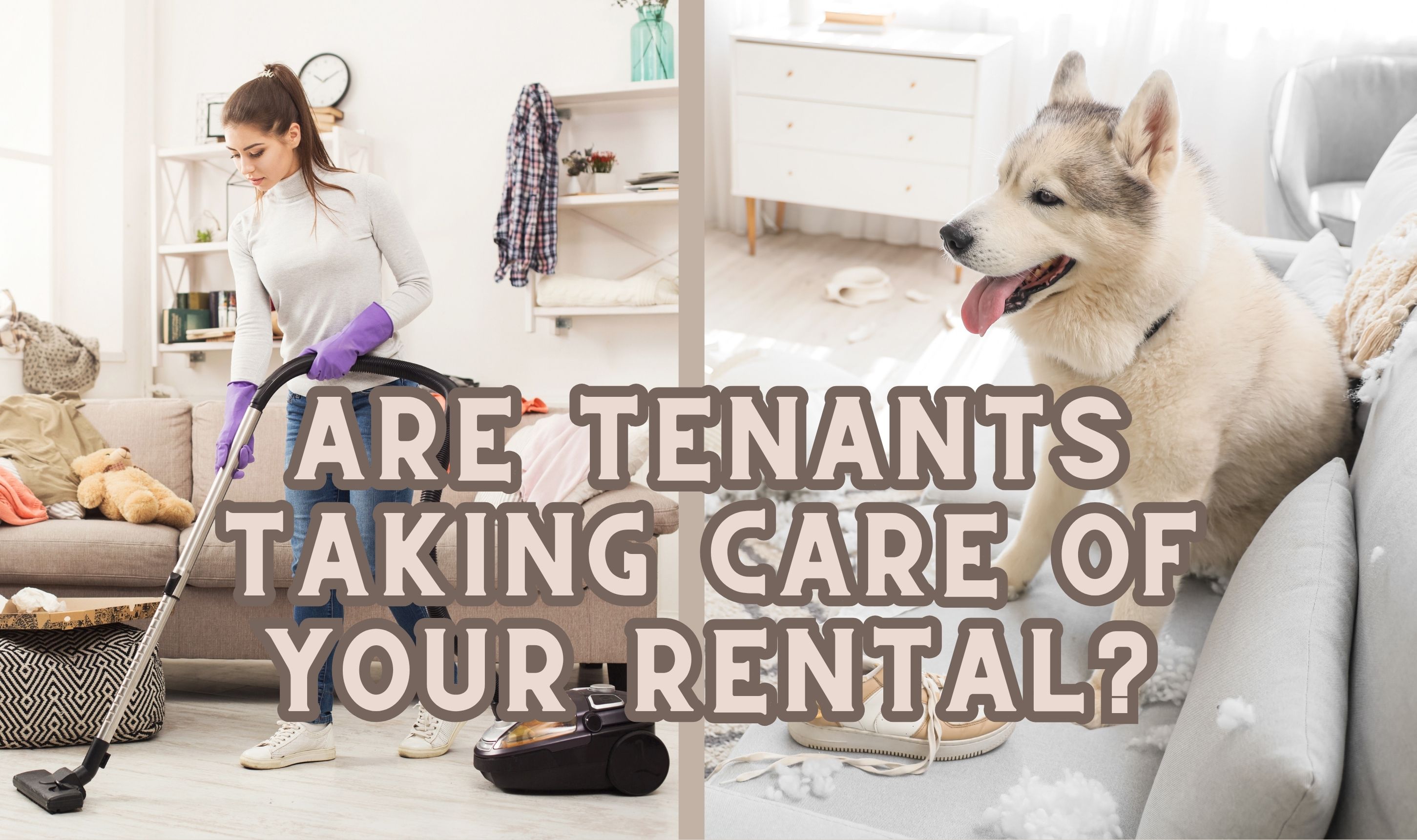 Are Tenants Taking Care of Your Rental?
